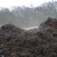 Moist Compost