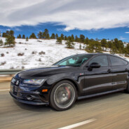 Don't yell at me I'll cum :(