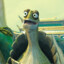 Master Oogway