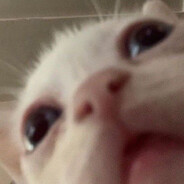 ̶F̶a̶t̶F̶l̶a̶n̶k̶'s Avatar