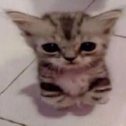 *Meow*