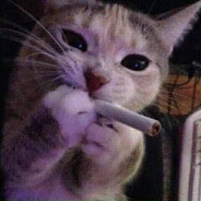 pypok
