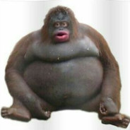 Monke