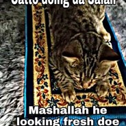 catto doing sallah