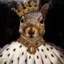 King Squirrel