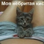Хочешь размять эту кискуфото