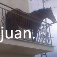 Juan