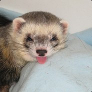 LeFerret