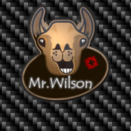 Mr.Wilson