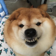 Grug