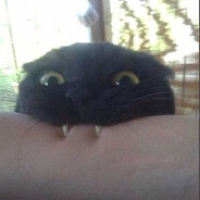 Kotomiler