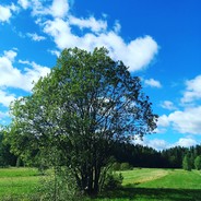 Henrimeht