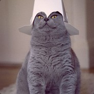 Твой Кот