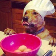Eggcelent