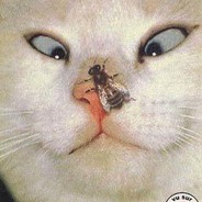 ❂❆Trusty❆❂'s Avatar