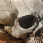 Corpse
