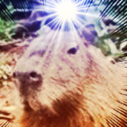 nandateme