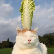 All Hail Lettuce Cat