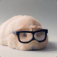 小猪爱补刀's Avatar