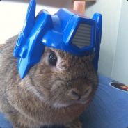 Spleenzorio - steam id 76561197961160568