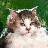 Tibbles