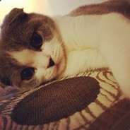 DARKIE伝説's Avatar