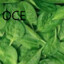 Ocespinach_on_youtube