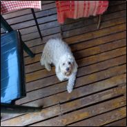 Heretic_Cris's Avatar