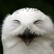 MeN
