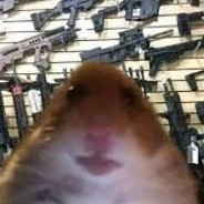 Quiet Kid in Class's Avatar