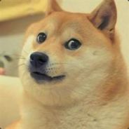 源稚生