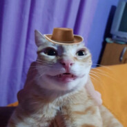 gostqw