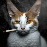 https://avatars.akamai.steamstatic.com/b4f5b3abecc6b21b9e62a6525a1ca967fc4812e5_full.jpg