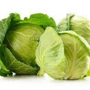 cabbage
