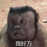 猴子