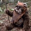 EWOK_VL