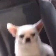 Аджапсандал's Avatar