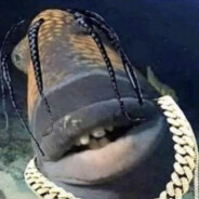 Steam Community :: Veealune Andrus Taat