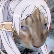 lfe