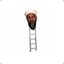 Osama Bin Ladder