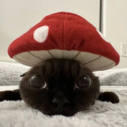 ma_vor