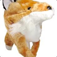 Foxtrot_Oscar_Xray