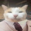 Kanga's avatar