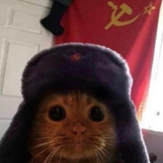a commie cat