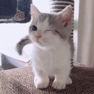 Тайлер Дёрден