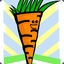 CarrotMan25