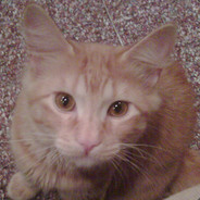 Quark - steam id 76561197961371477