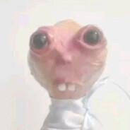bobik2