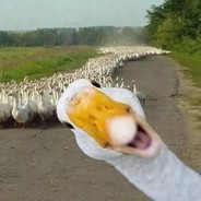 萌妹在此