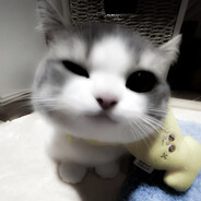 _SiLviXx_